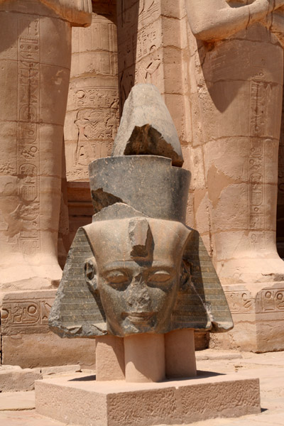 Ram_05.jpg